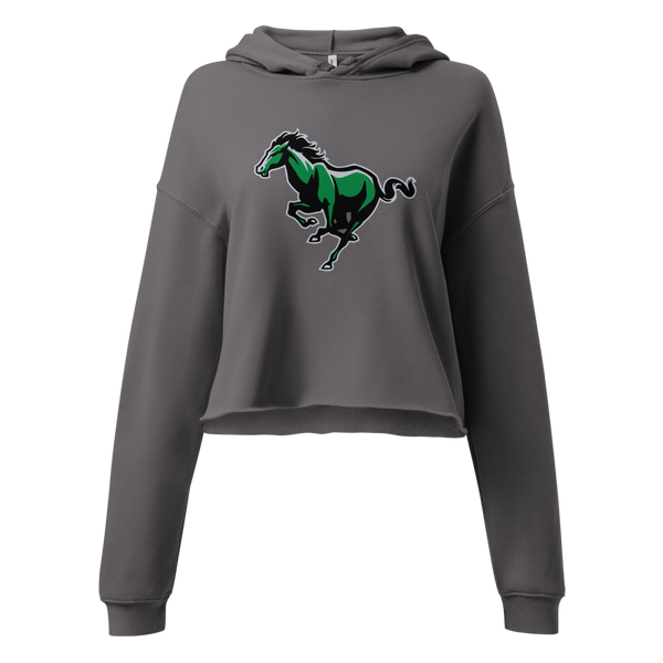 Bryce Valley High School Design 2 — Storm