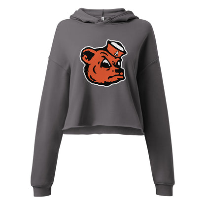 Alexandria High School Design 2 — Storm