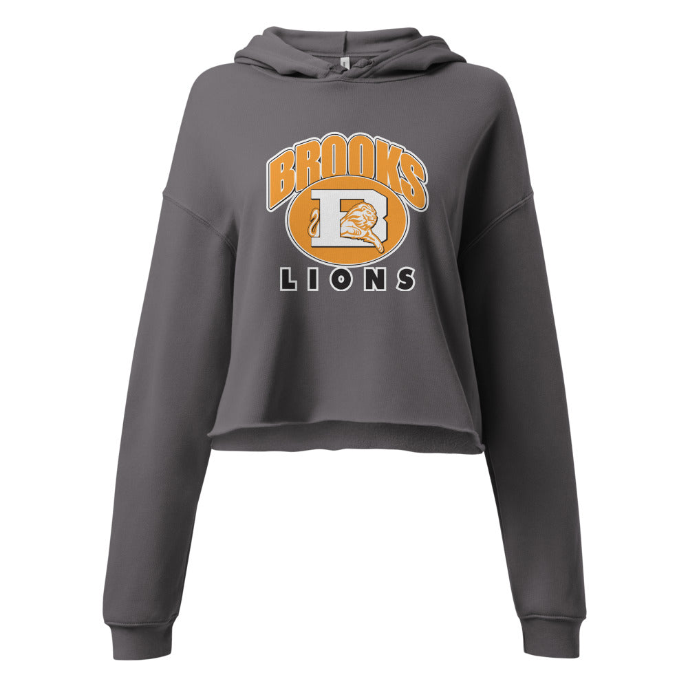 Brooks High School Design 2 — Storm