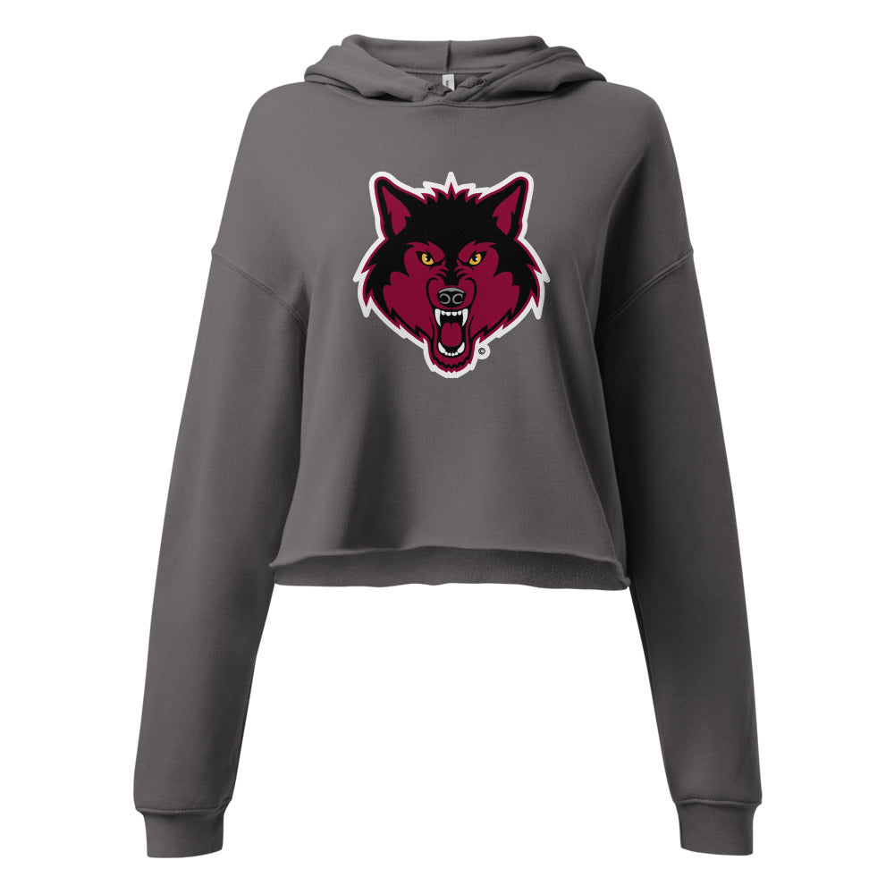 Dothan High School Design 2 — Storm