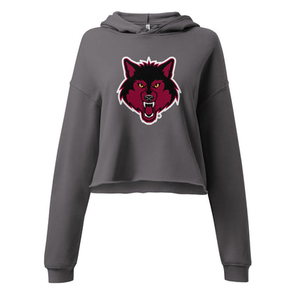 Dothan High School Design 2 — Storm