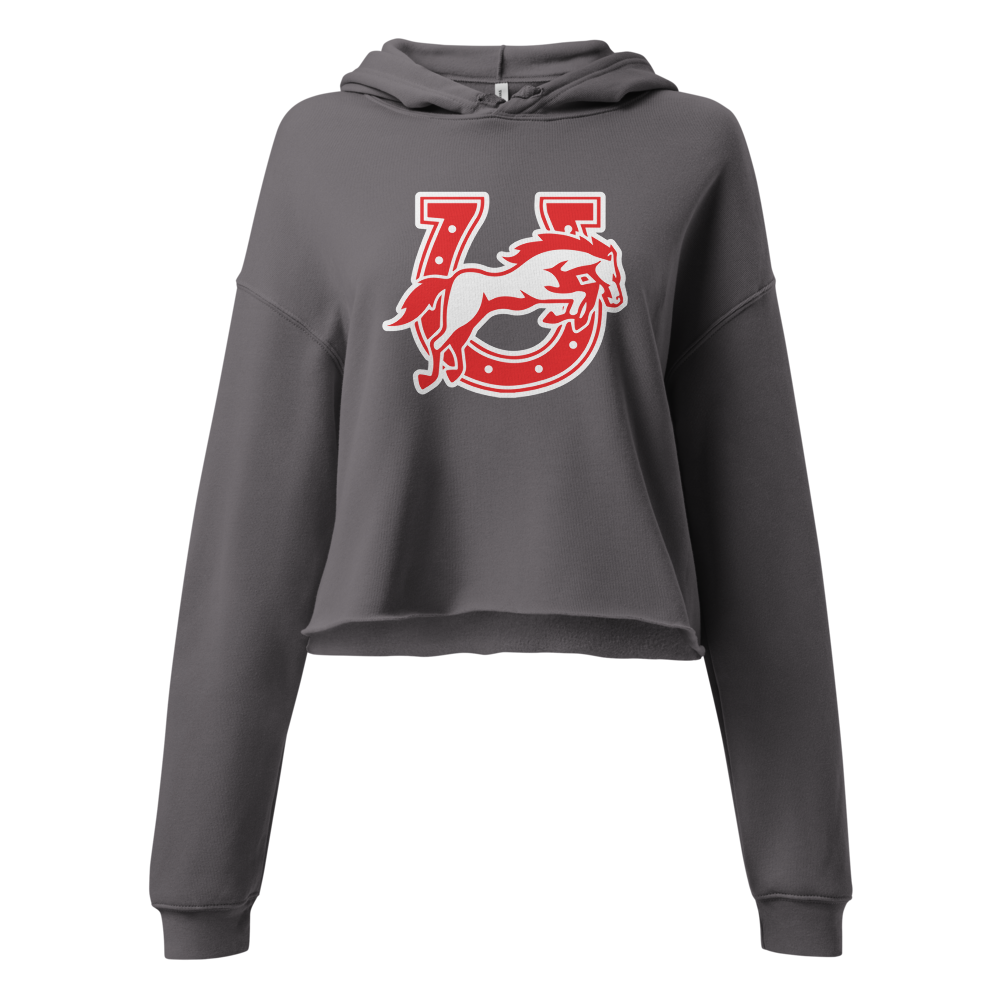 Earl Wooster High School Design 2 — Storm