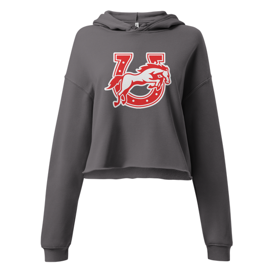 Earl Wooster High School Design 2 — Storm