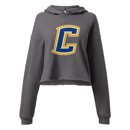 Curry High School Design 2 — Storm