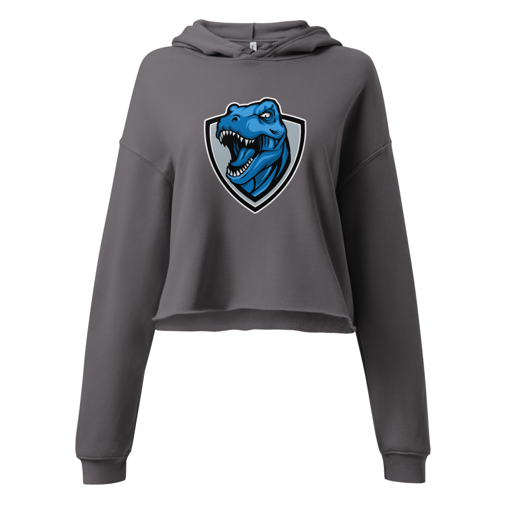 Carbon High School Design 2 — Storm