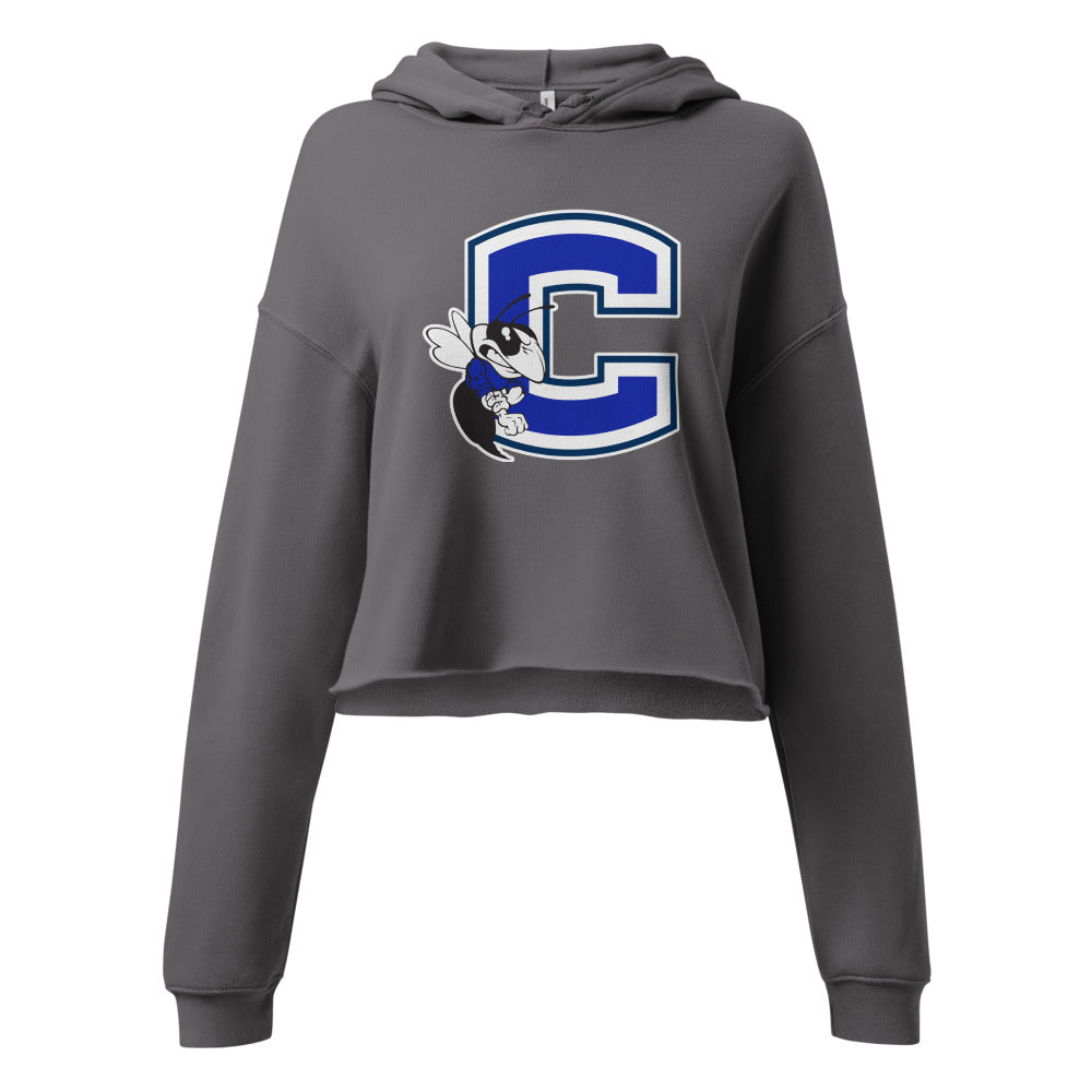 Chelsea HIgh School Design 2 — Storm
