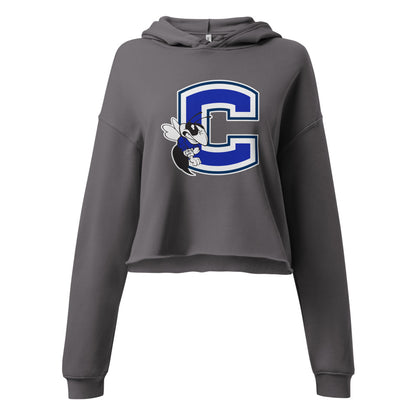 Chelsea HIgh School Design 2 — Storm
