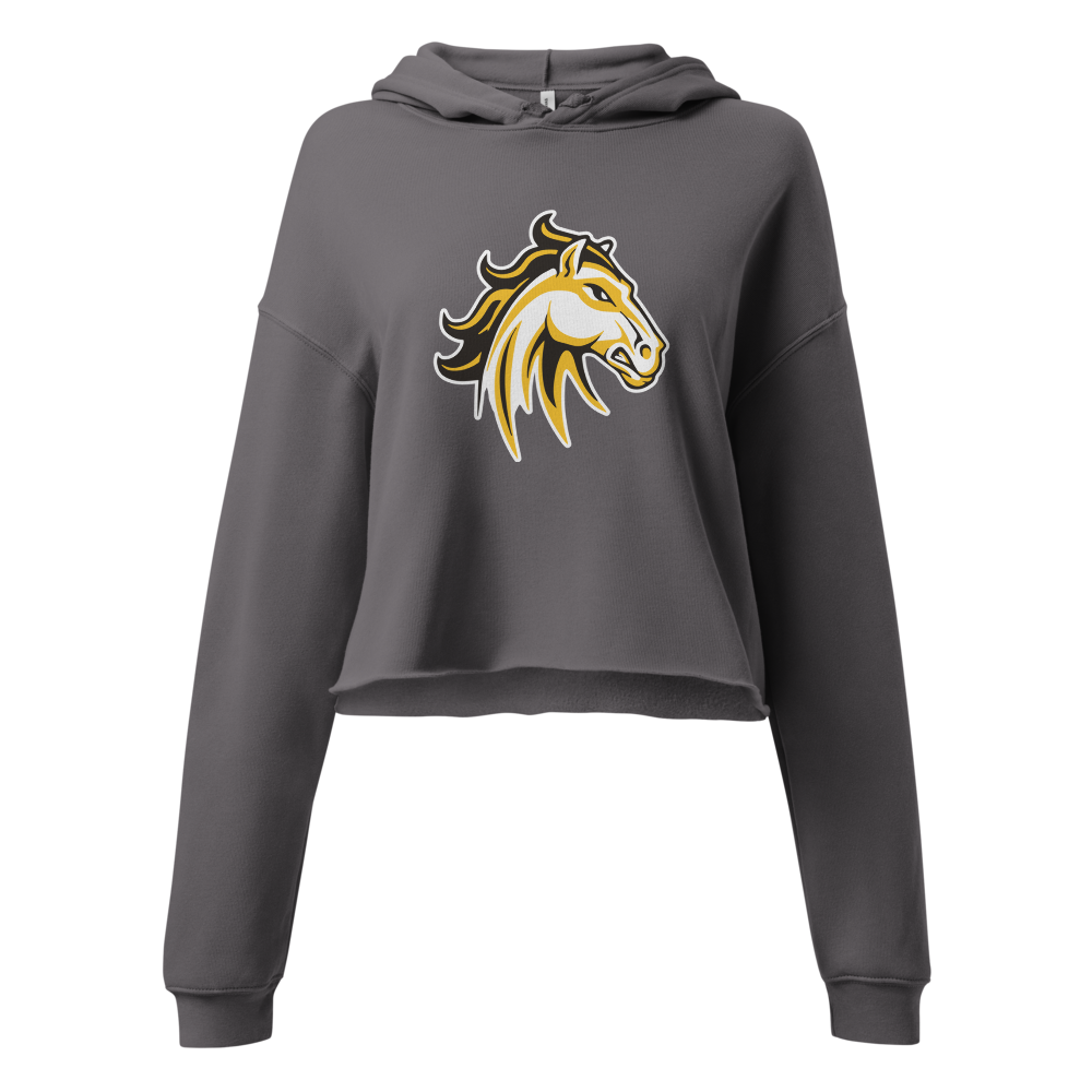 Cottonwood High School Design 2 — Storm