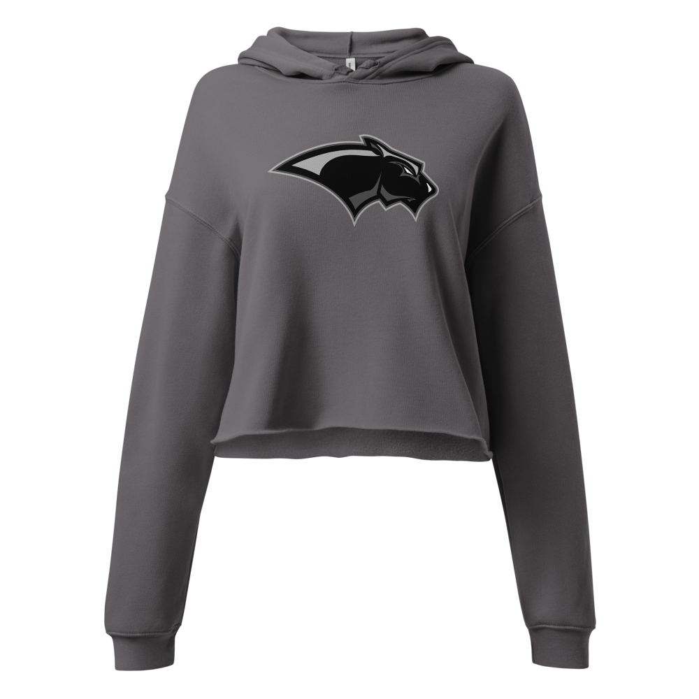 Pine View High School Design 2 — Storm