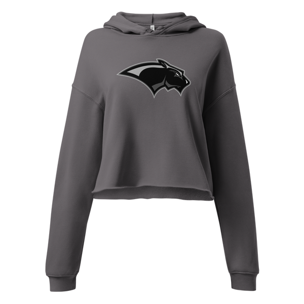 Pine View High School Design 2 — Storm
