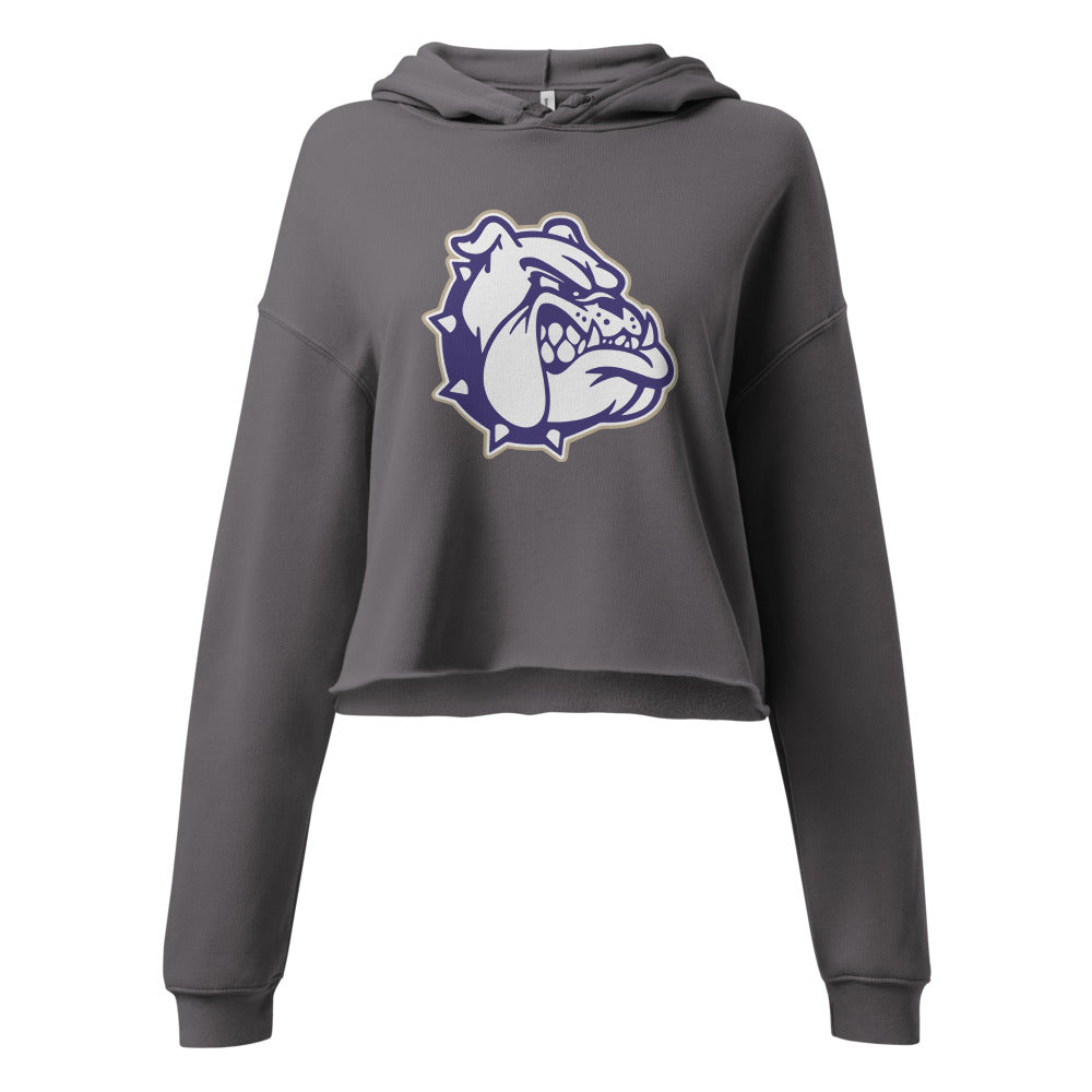 Sheffield High School Design 2 — Storm