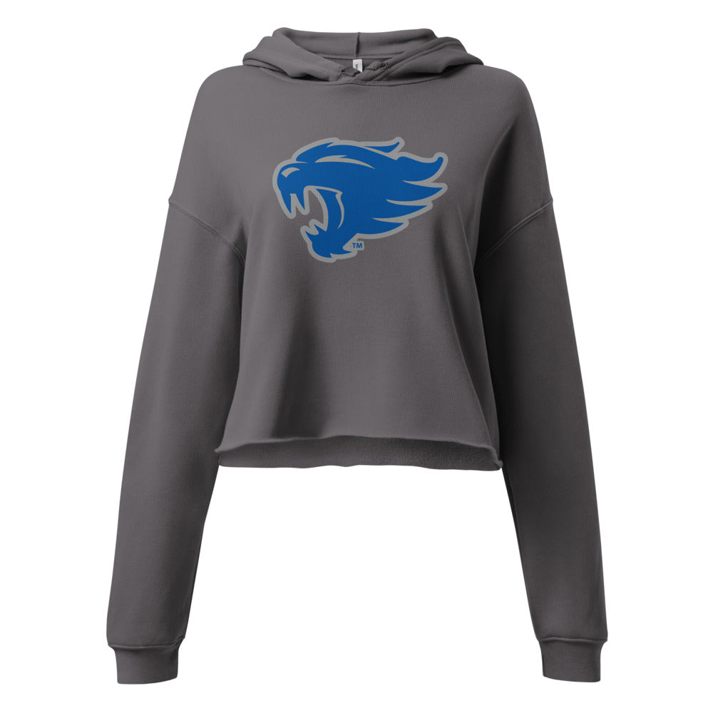 Colbert Heights High School Design 2 — Storm