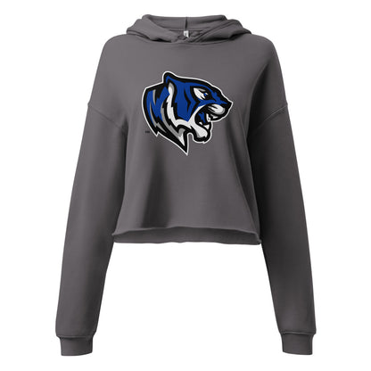 Demopolis High School Design 2 — Storm