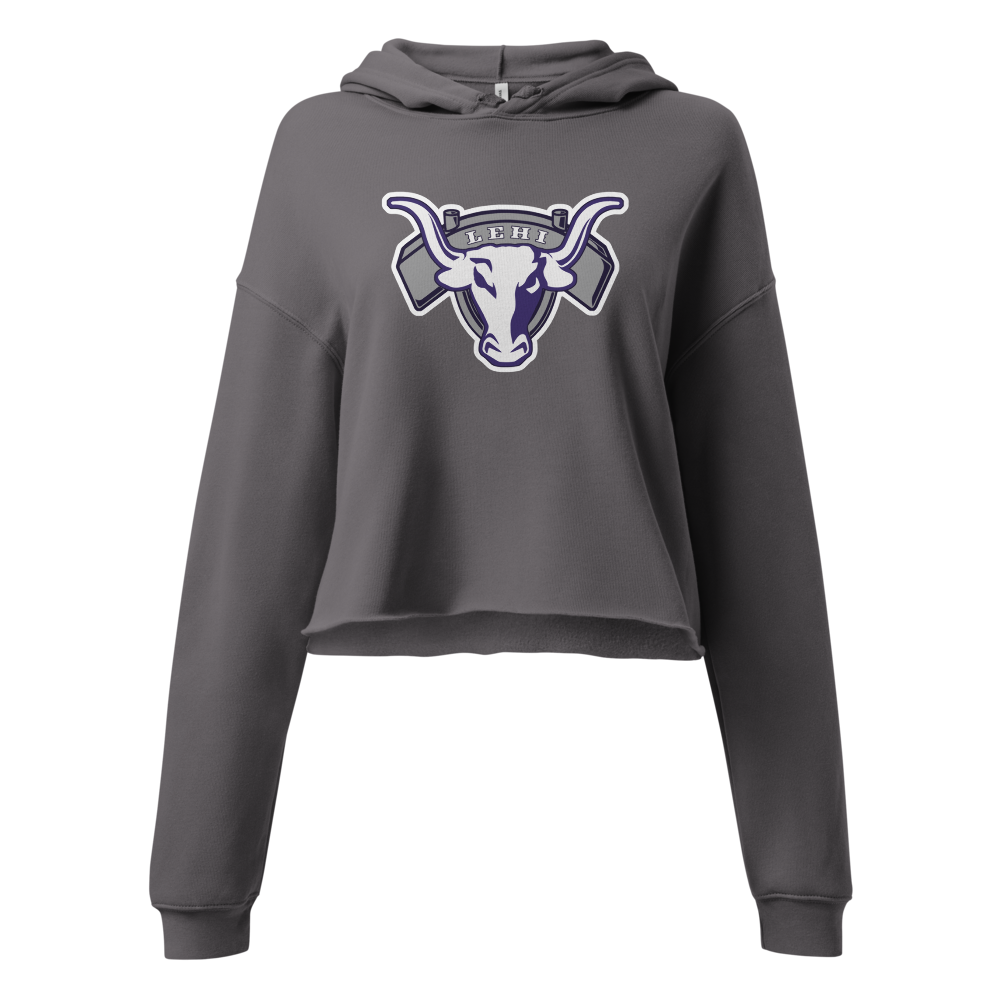 Lehi High School Design 2 — Storm