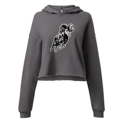 Radford High School Design 2 — Storm