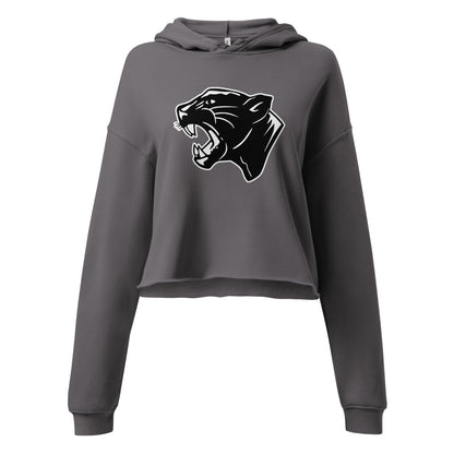 Collinsville High School Design 2 — Storm