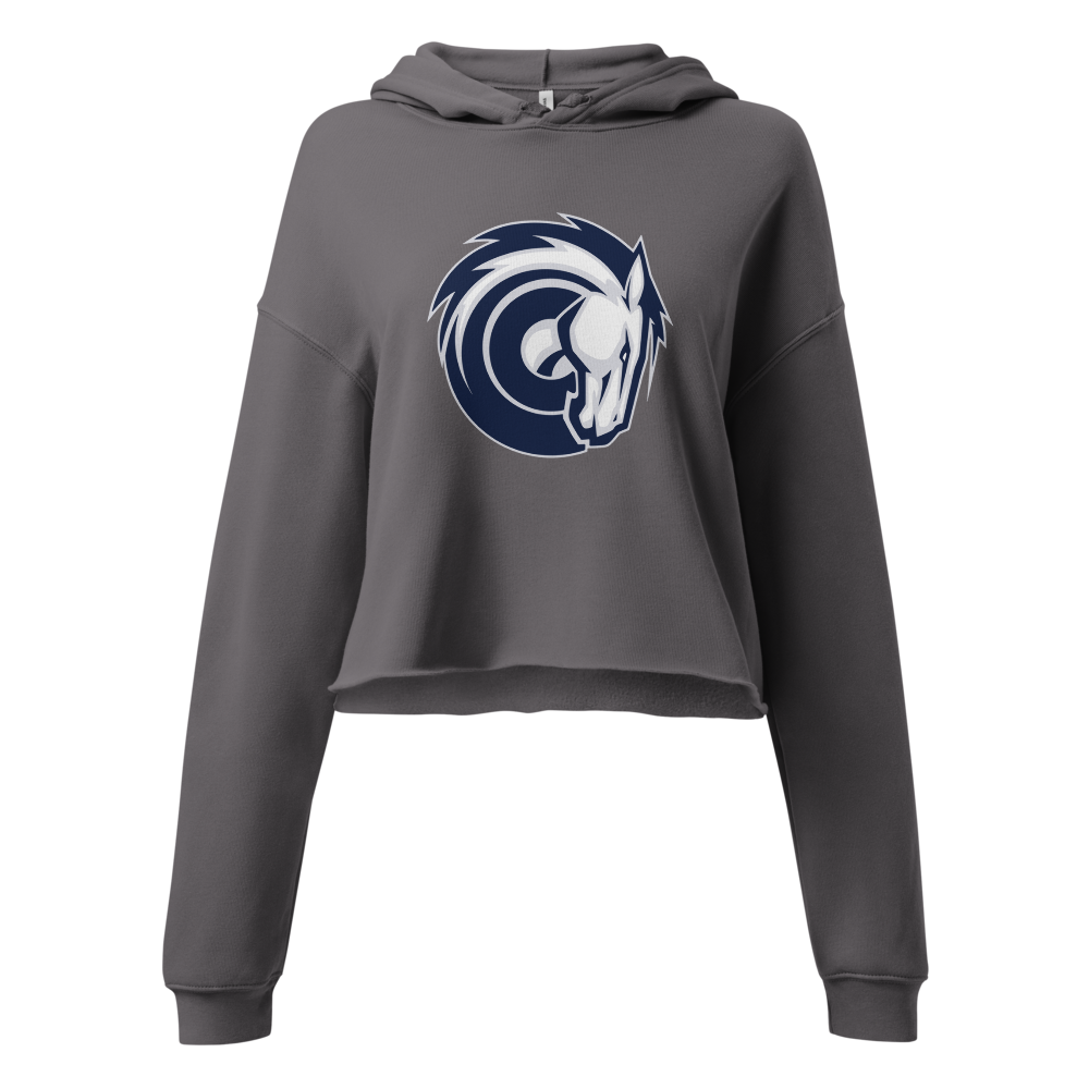 Corner Canyon High School Design 2 — Storm