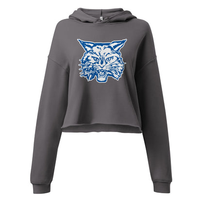 West Limestone High School Design 2 — Storm