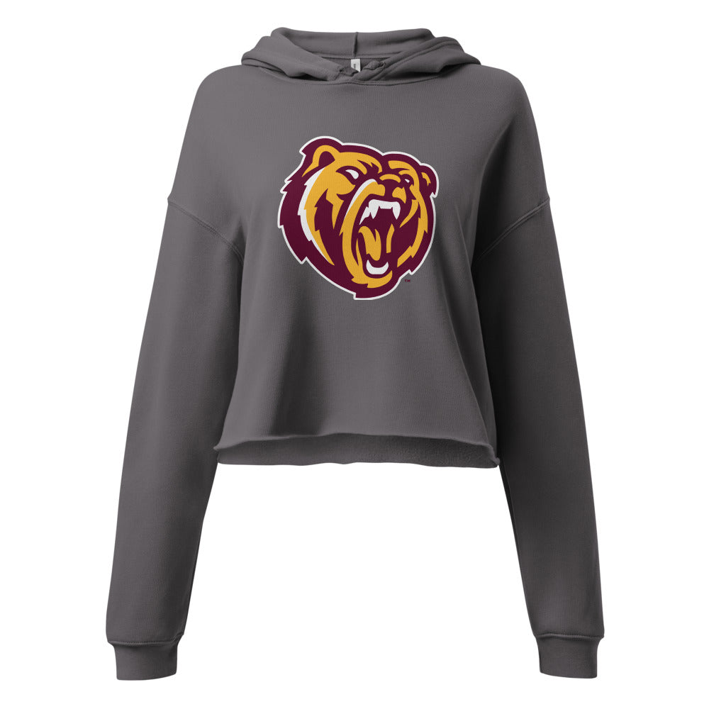Robertsdale High School Design 2 — Storm