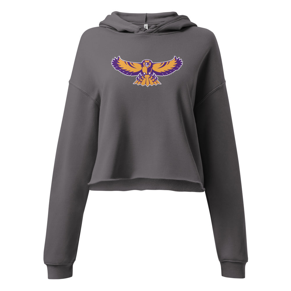 Danville High School Design 2 — Storm