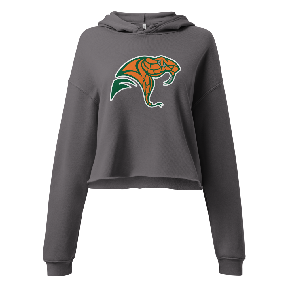 Mojave High School Design 2 — Storm