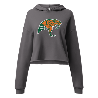 Mojave High School Design 2 — Storm