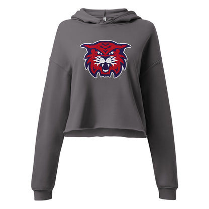 Berry High School Design 2 — Storm