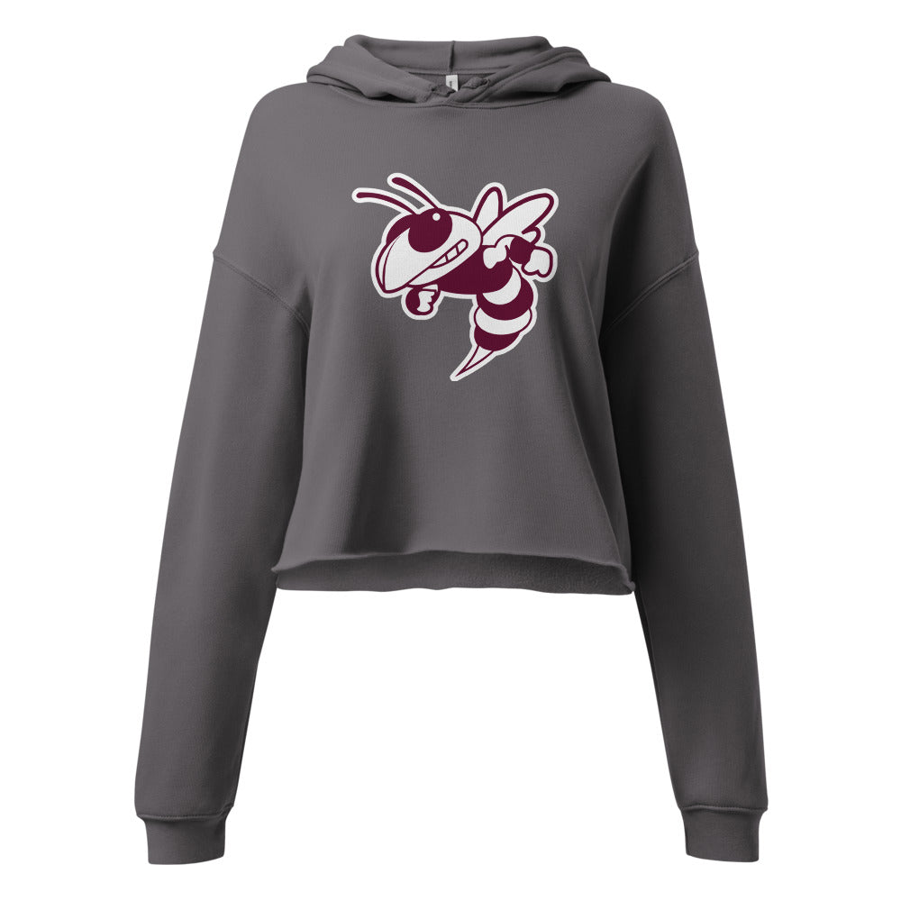 Abbeville High School Design 2 — Storm