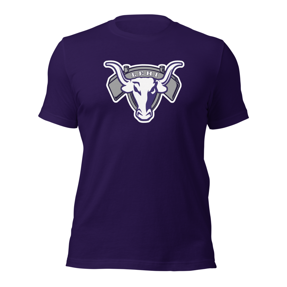 Lehi High School Design 2 — Team Purple