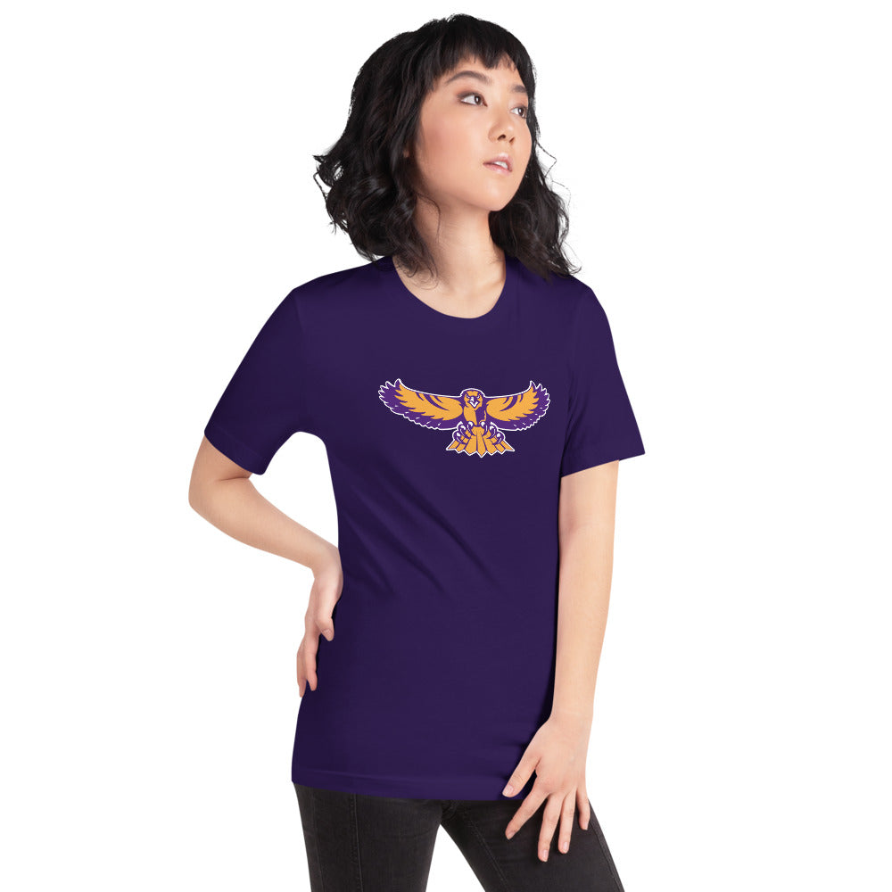 Danville High School Design 2 — Team Purple
