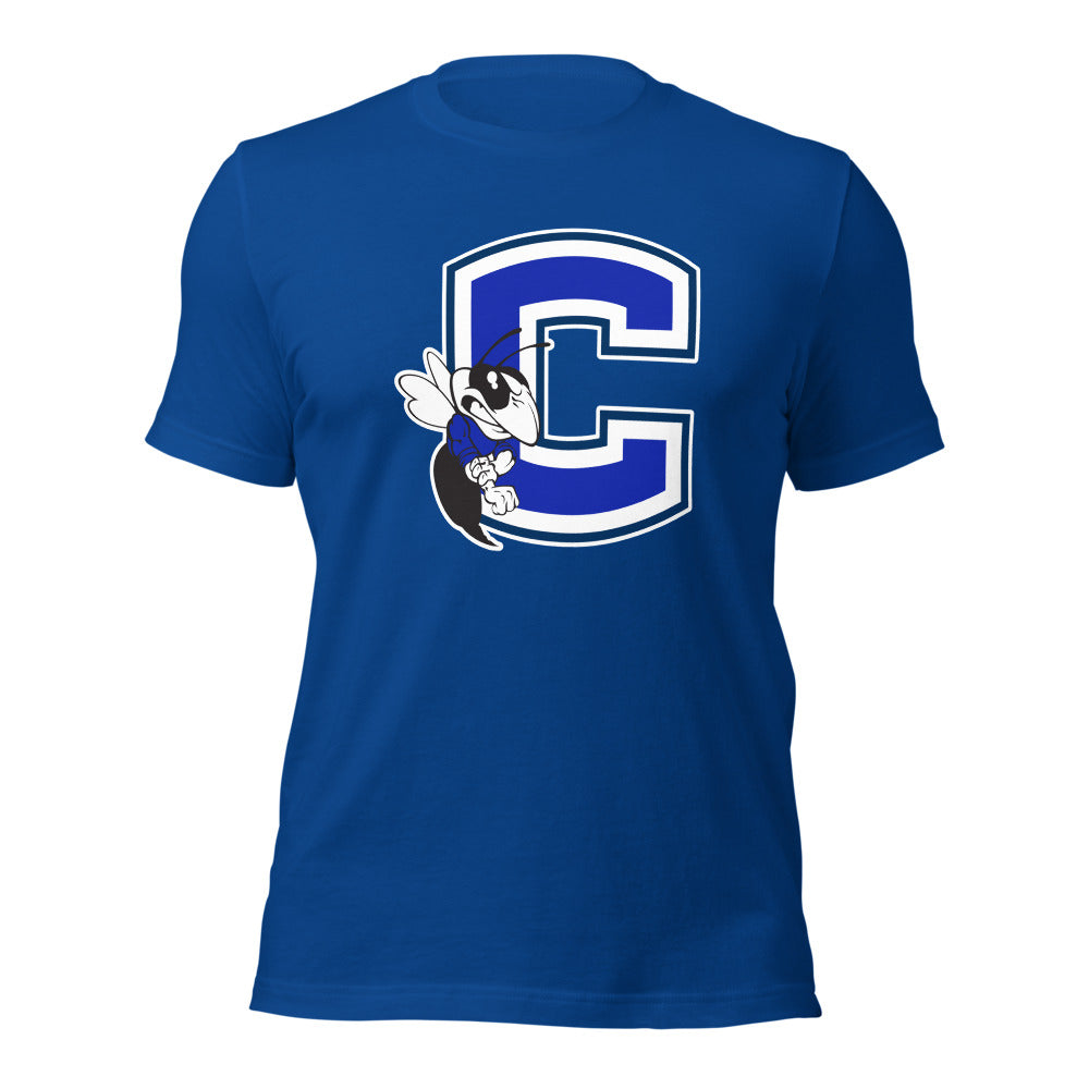 Chelsea HIgh School Design 2 — True Royal