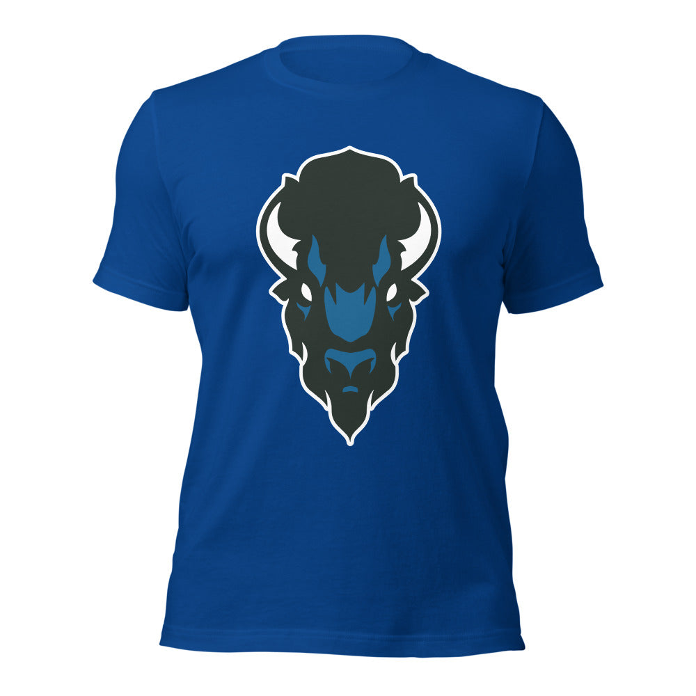 North Sand Mountain High School Design 2 — True Royal