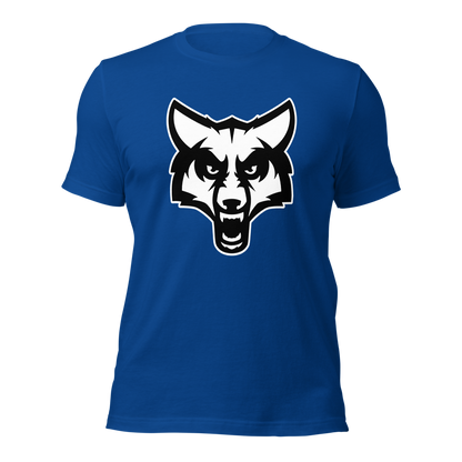 Timpanogos High School Design 2 — True Royal