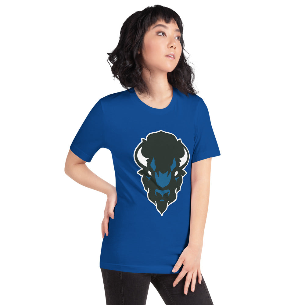 North Sand Mountain High School Design 2 — True Royal