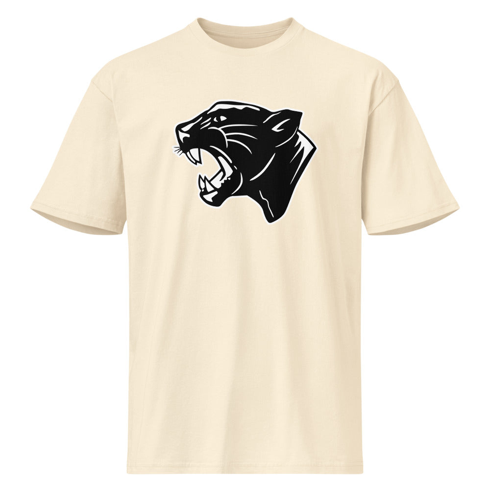 Collinsville High School Design 2 — Vintage White