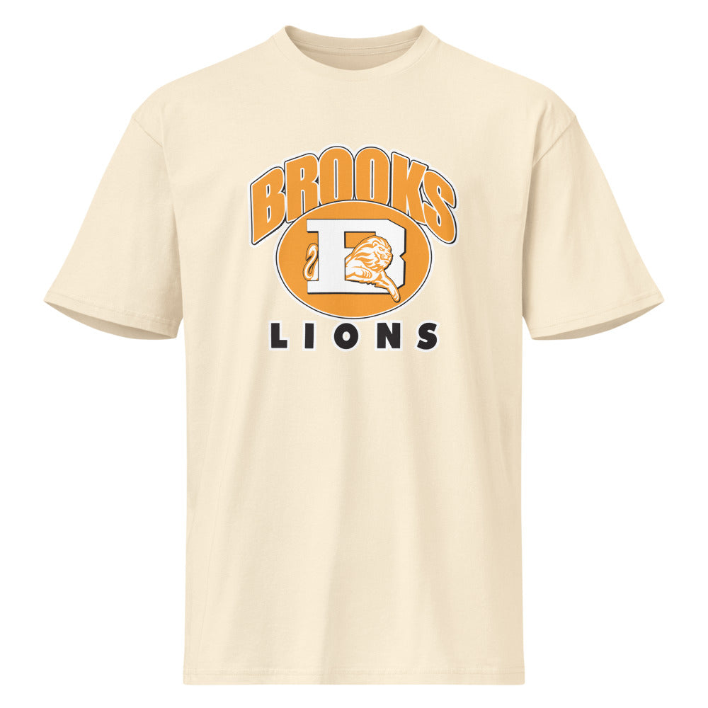 Brooks High School Design 2 — Vintage White
