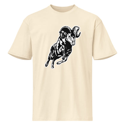Radford High School Design 2 — Vintage White
