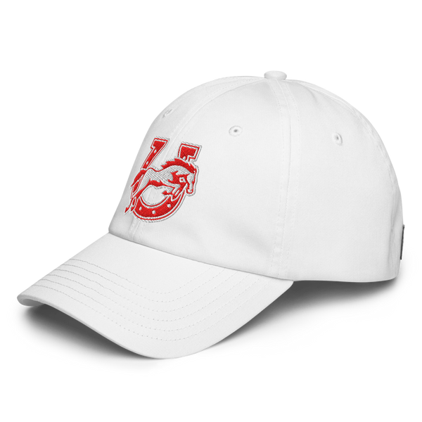 Earl Wooster High School Design 2 — White