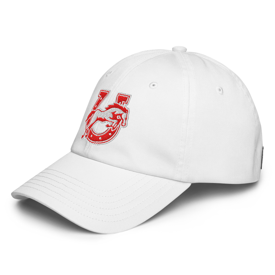 Under Armour Dad Hat