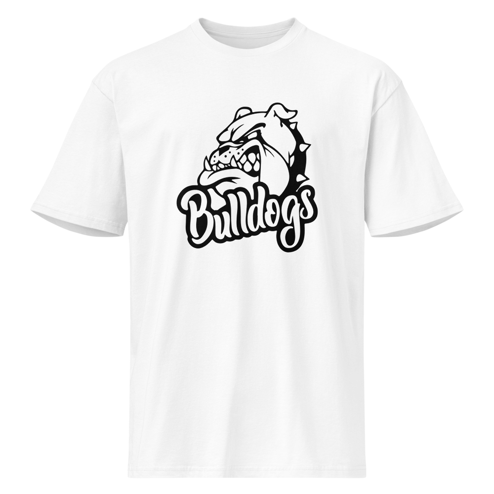 Provo High School Design 2 — White
