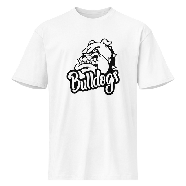 Provo High School Design 2 — White