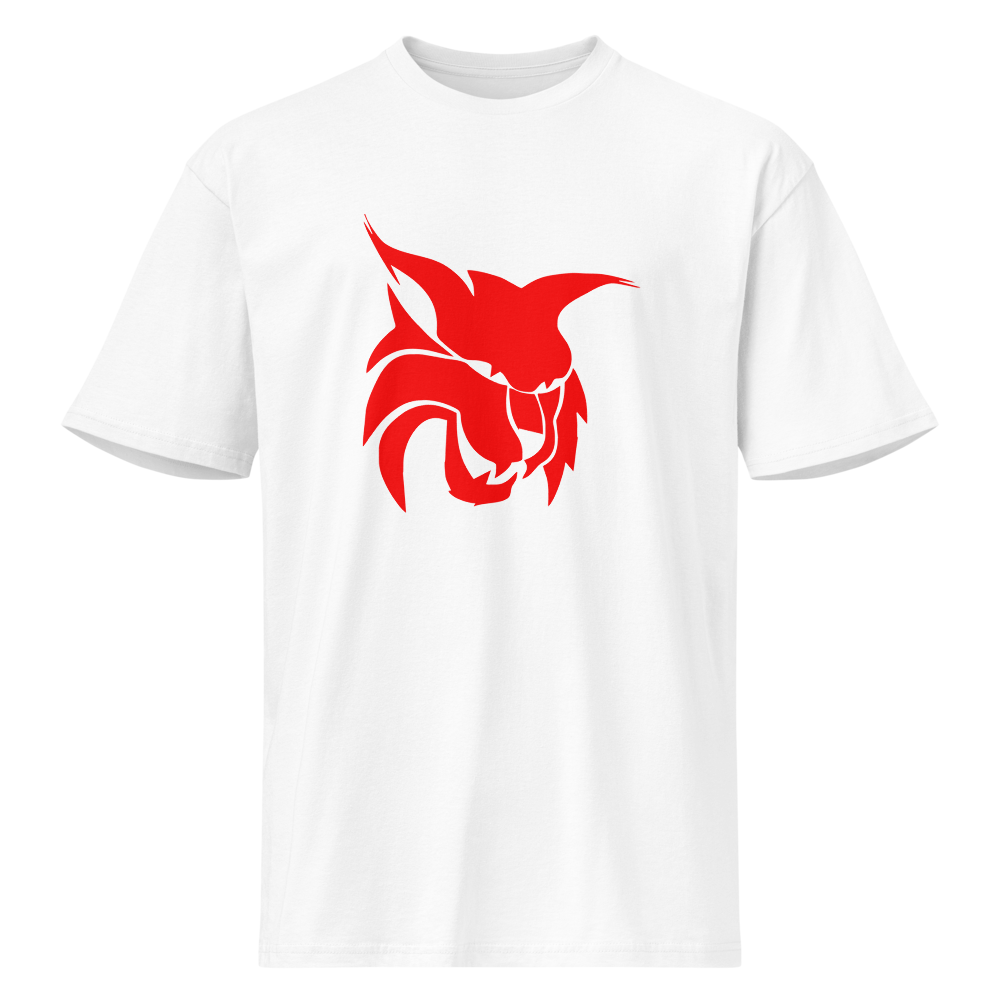 Lincoln County High School Design 2 — White