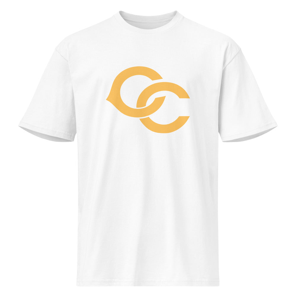 Cherokee County HIgh School Design 2 — White