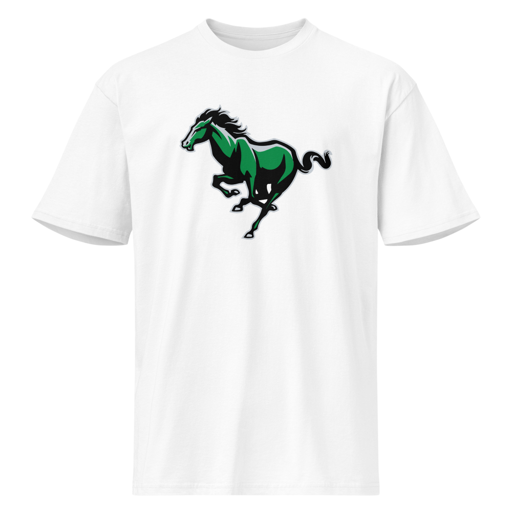 Bryce Valley High School Design 2 — White