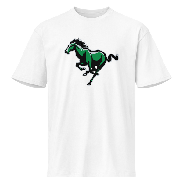 Bryce Valley High School Design 2 — White