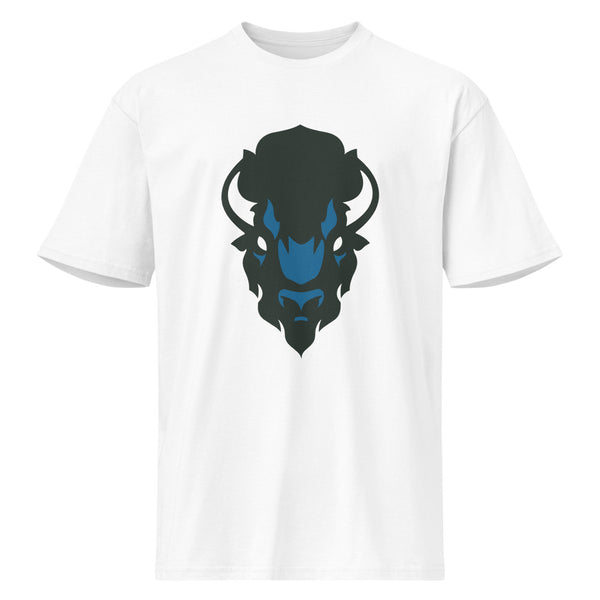 North Sand Mountain High School Design 2 — White
