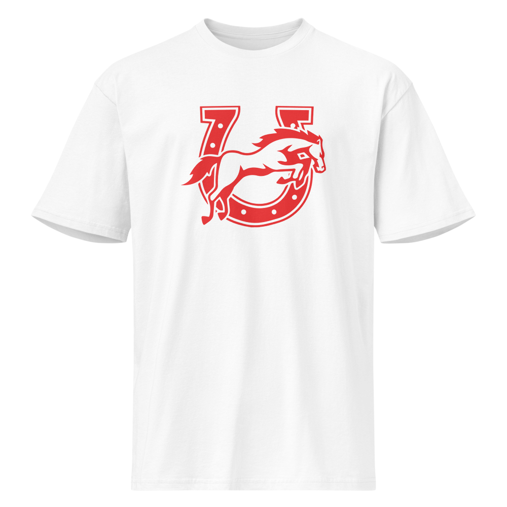 Earl Wooster High School Design 2 — White