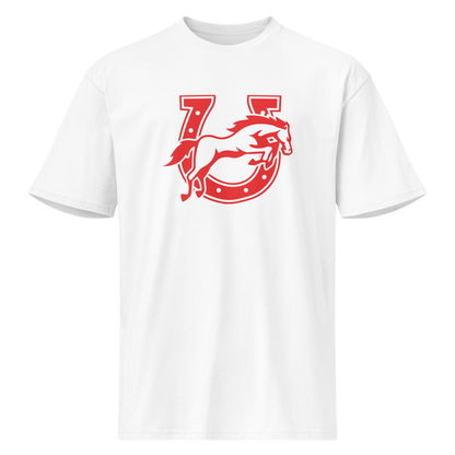 Earl Wooster High School Design 2 — White