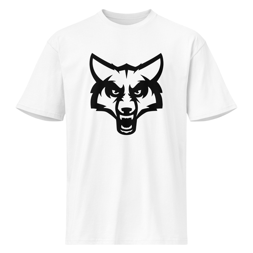 Timpanogos High School Design 2 — White