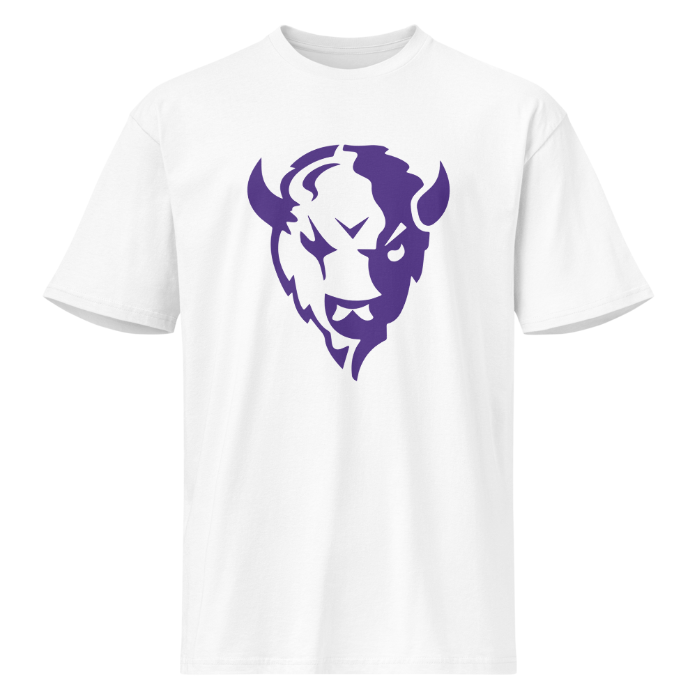 Tooele High School Design 2 — White